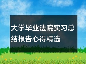 大学毕业法院实习总结报告心得精选