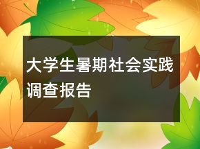 大学生暑期社会实践调查报告