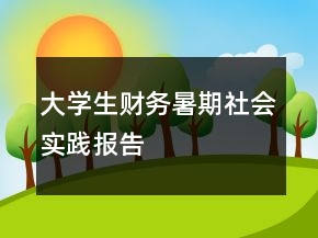 大学生财务暑期社会实践报告