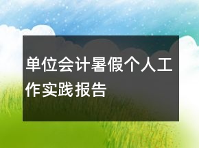 单位会计暑假个人工作实践报告