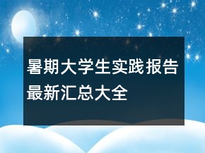 暑期大学生实践报告最新汇总大全