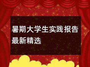 暑期大学生实践报告最新精选