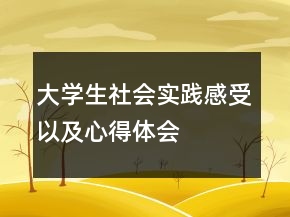 大学生社会实践感受以及心得体会