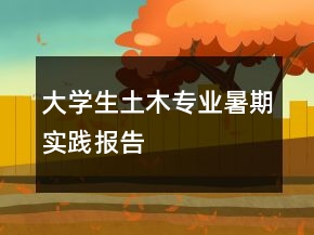 大学生土木专业暑期实践报告