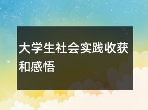 大学生社会实践收获和感悟