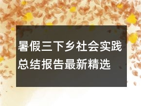 暑假三下乡社会实践总结报告最新精选