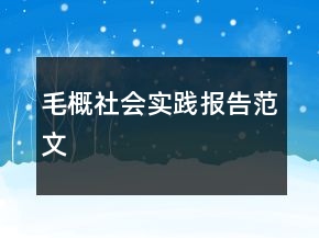 毛概社会实践报告范文
