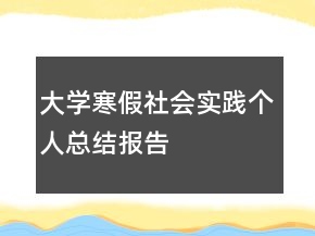 大学寒假社会实践个人总结报告