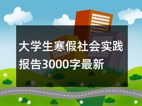 大学生寒假社会实践报告3000字最新
