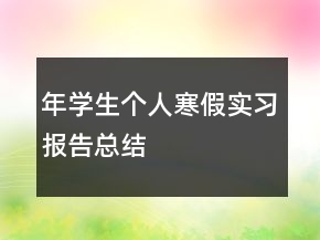 年学生个人寒假实习报告总结