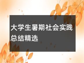 大学生暑期社会实践总结精选