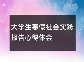 大学生寒假社会实践报告心得体会