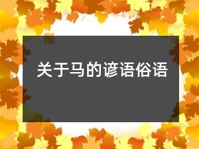 关于马的谚语俗语