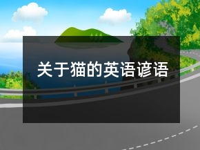 关于猫的英语谚语