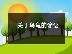 关于乌龟的谚语