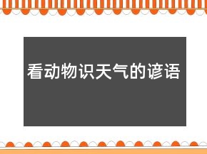 看动物识天气的谚语
