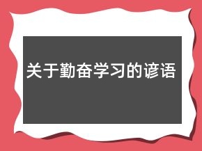 关于勤奋学习的谚语