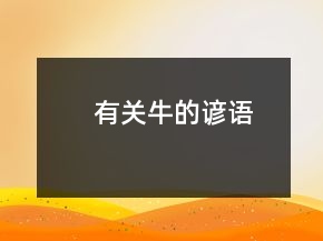 有关牛的谚语