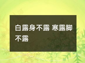 白露身不露 寒露脚不露