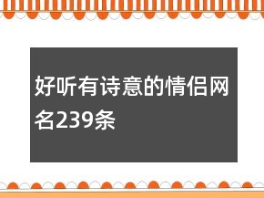好听有诗意的情侣网名239条