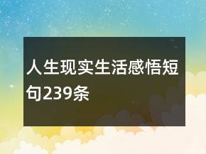 人生现实生活感悟短句239条