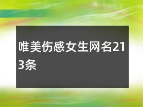 唯美伤感女生网名213条
