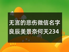 无言的悲伤微信名字：良辰美景奈何天234条