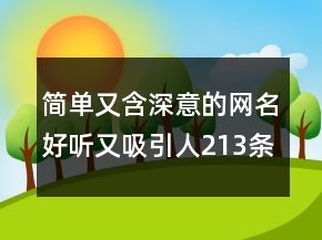 简单又含深意的网名好听又吸引人213条
