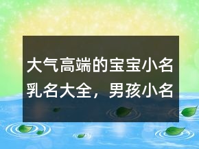 大气高端的宝宝小名乳名大全，男孩小名洋气点的212条