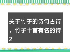 关于竹子的诗句古诗，竹子十首有名的诗220条