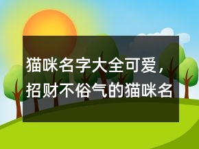猫咪名字大全可爱，招财不俗气的猫咪名字209条