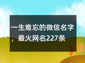 一生难忘的微信名字，最火网名227条