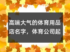 高端大气的体育用品店名字，体育公司起名大全集200条