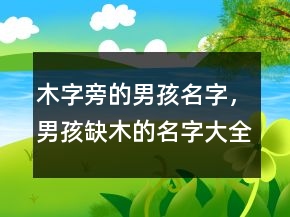 木字旁的男孩名字，男孩缺木的名字大全集245条
