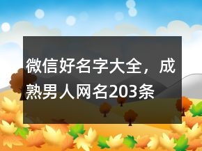 微信好名字大全，成熟男人网名203条