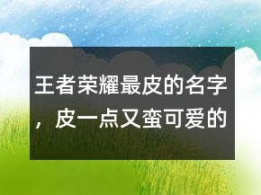 王者荣耀最皮的名字，皮一点又蛮可爱的王者名字210条