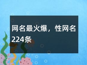 网名最火爆，性网名224条