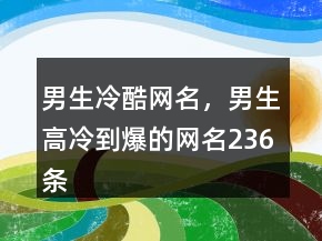 男生冷酷网名，男生高冷到爆的网名236条