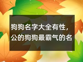 狗狗名字大全有性，公的狗狗最霸气的名字226条