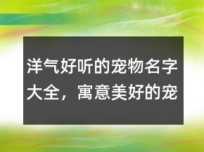洋气好听的宠物名字大全，寓意美好的宠物名字226条