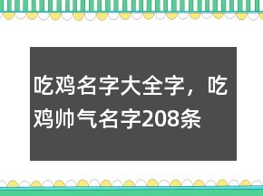 吃鸡名字大全字，吃鸡帅气名字208条