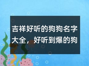 吉祥好听的狗狗名字大全，好听到爆的狗狗名字205条