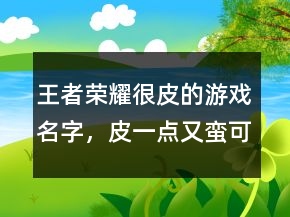 王者荣耀很皮的游戏名字，皮一点又蛮可爱的王者名字241条