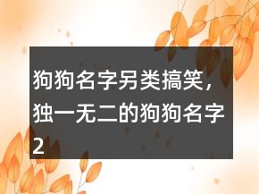 狗狗名字另类搞笑，独一无二的狗狗名字200条