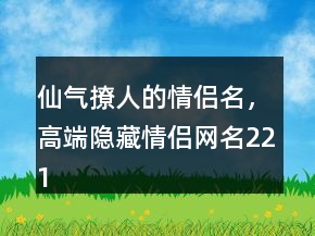 仙气撩人的情侣名，高端隐藏情侣网名221条