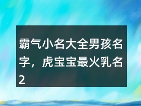 霸气小名大全男孩名字，虎宝宝最火乳名250条