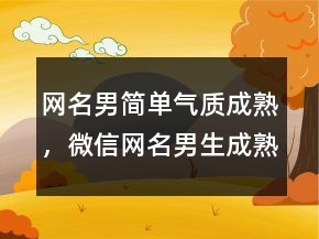 网名男简单气质成熟，微信网名男生成熟稳重226条