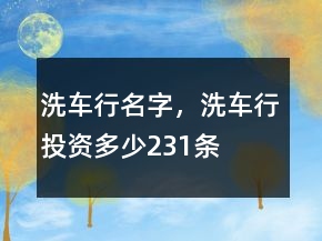 洗车行名字，洗车行投资多少231条