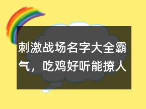 刺激战场名字大全霸气，吃鸡好听能撩人的名字205条
