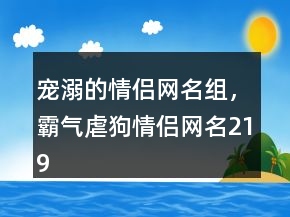 宠溺的情侣网名组，霸气虐狗情侣网名219条